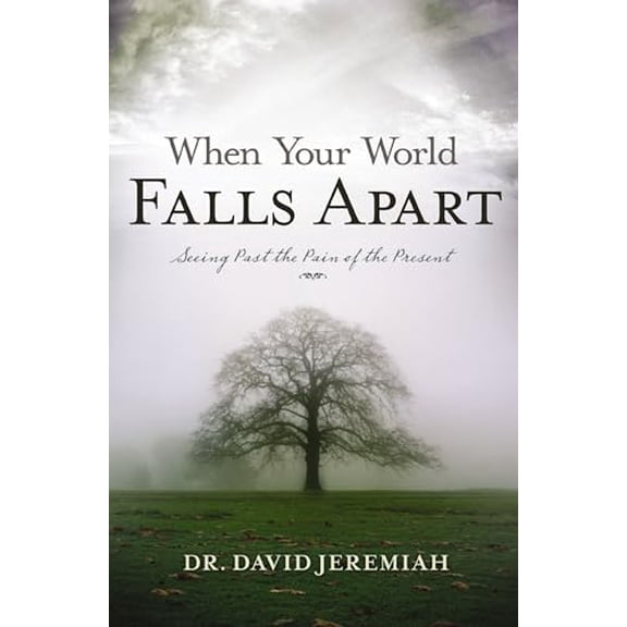 Pre-Owned When Your World Falls Apart: See Past the Pain of the Present, 9780849904363, 0849904366, Paperback,
