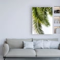 thumbnail image 3 of Trademark Fine Art 'Palm Leaves' Canvas Art by Lexie Gree, 3 of 3