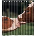 thumbnail image 1 of ABPHQTO Cortina de ducha de vaca linda Cortina de ducha impermeable 160x180 cm, 1 of 2