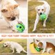 thumbnail image 2 of Wobble Giggle - Pelota para perros pequeños, juguete chirriante, bola indestructible para masticar cachorros para razas pequeñas (pequeña, 4,2 pulgadas), 2 of 5