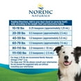 thumbnail image 4 of Nordic Naturals Omega-3 Pet, Liquid, Very Large and Multiple Dogs, 16 Oz, 4 of 10