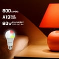 thumbnail image 4 of Energizer 24-Pack Smart Wi-Fi Multi-Color and Single White LED Light Bulb, A19 Shape, E26 Base, 4 of 5
