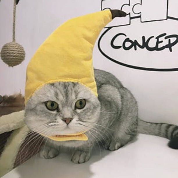 Sombrero para mascota, lindo disfraz de perro osito de peluche, gorro de girasol para mascota, peluca, sombrero de gato para Halloween