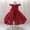 Brick Red, variant on iTNHFP Little Girl Dresses Children's Mesh Dress Dress Stylish Little Girl Dress 1296