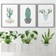 thumbnail image 5 of Pinturas de cactus Poster sin marco Planta tropical Planta de lona Impresión de lienzo Obras de lienzo Decoración de dormitorio Decoración 3 piezas Inevent HA011002-00, 5 of 7
