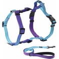 thumbnail image 1 of YIXIGGC Small Dog Harness and Leash Set, No Pull Dog Harness Adjustable Reflective, Dog Halter Harnesses Comfort Padded Handle, Pet Harness for Training Outdoor Walking（Gsky-S DYF329-2235, 1 of 7