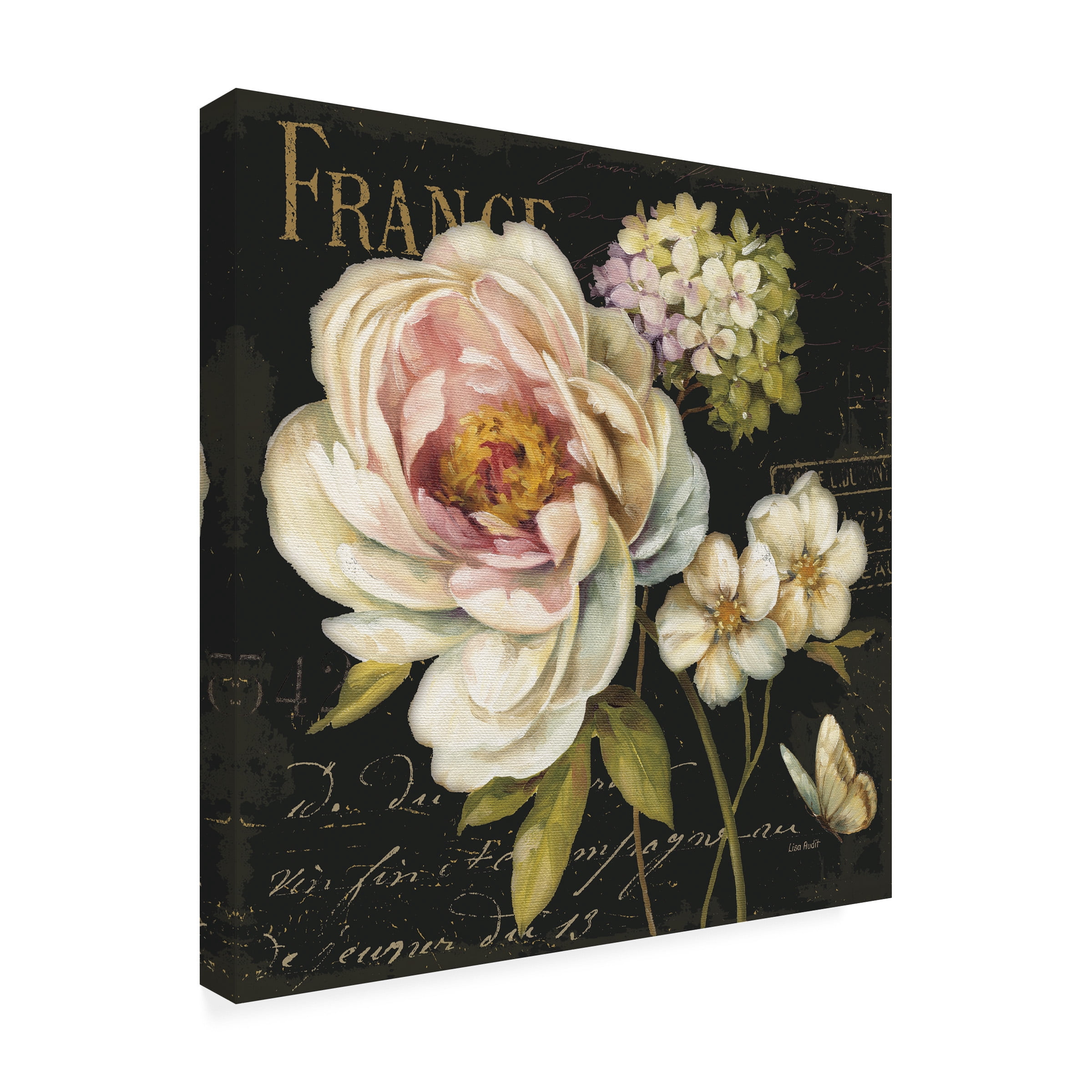 Lisa Audit 'Marche de Fleurs on Black' Outdoor Canvas