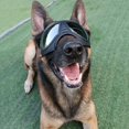 thumbnail image 4 of Black Chubasquero para perros Chubasquero impermeable para perros con rayas reflectantes, 4 of 5