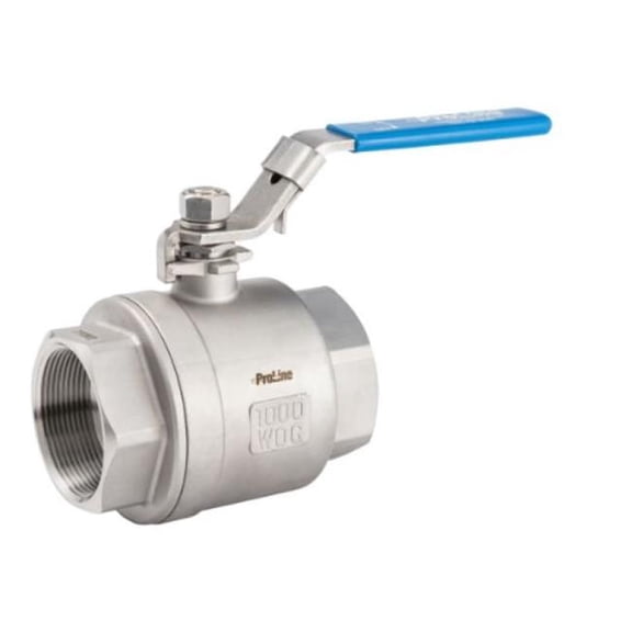 B&K 107-718SS 2 in. Stainless Steel IPS Ball Valve