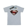 thumbnail image 1 of Superman Mens Logo Cotton T-Shirt, 1 of 5