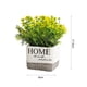 thumbnail image 2 of Topiarios, plantas y flores artificiales, mini plantas, maceta., 2 of 6