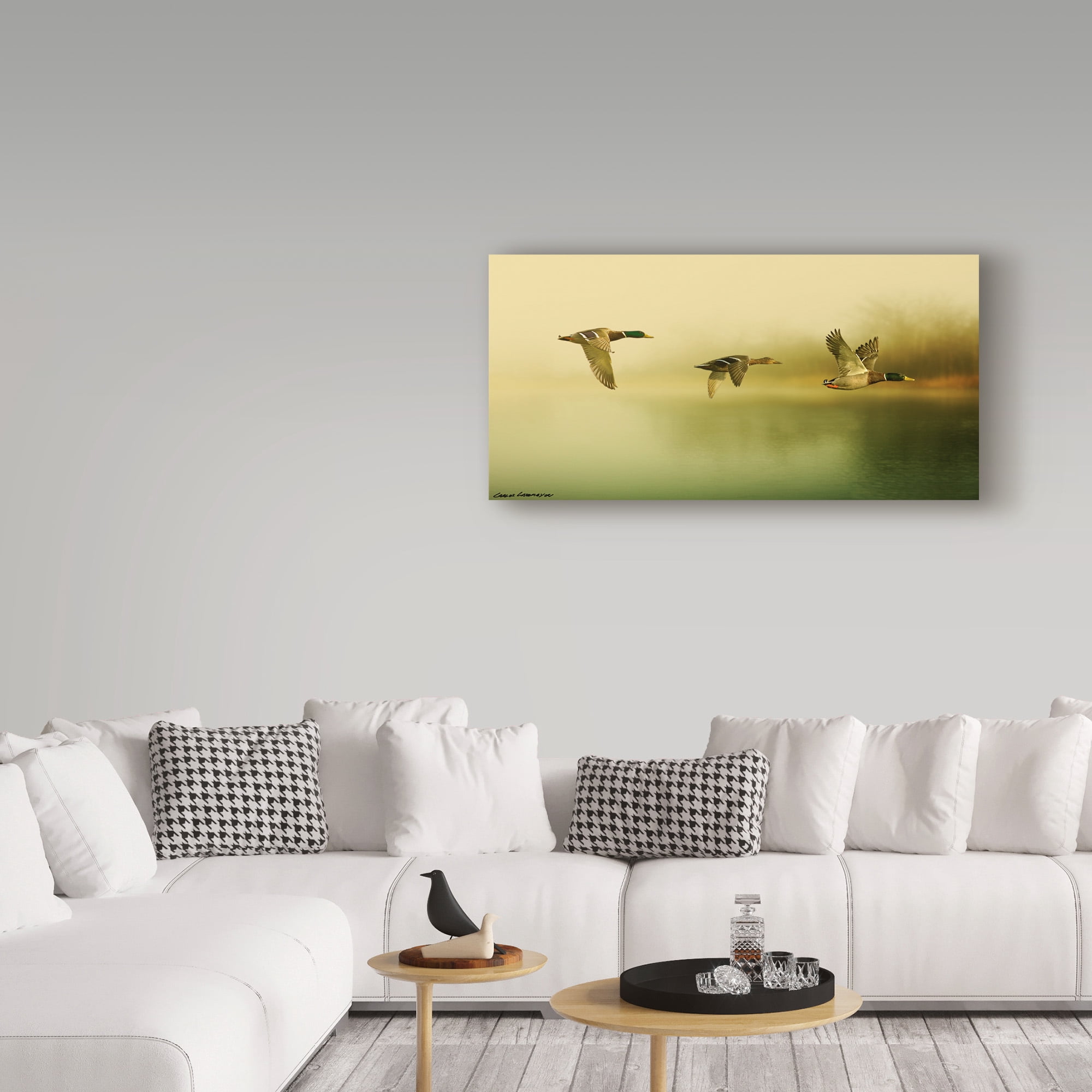 Trademark Fine Art 'Ducks Flying' Canvas Art by Carlos Casamayor