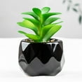 thumbnail image 2 of Artificial Succulent Plant Mini - Plastic Greenery Decoration Faux Potted Plant, 2 of 5