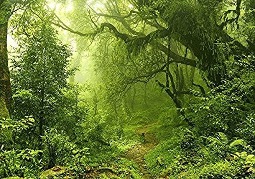 Yeele 7x5ft Tropical Jungle Backdrop for Photography Wet Fog Tropical Forest Moss Sunshine Background Natural Landscape Kids Adult Photo Booth Shoot Vinyl Studio Props