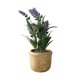 thumbnail image 2 of Bonsái artificial | Arreglo floral y de lavanda artificial | Decoración para el hogar y la oficina: ideal para la sala de estar, la entrada o estanterías | Vegetación artificial en jarrón moderno, 2 of 6