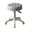 Gray, variant on Seipola Rolling Stool with Wheels Faux Leather Soft Cushion Height Adjustable 360-Degree Swivel Armless Backless Drafting Work SPA Salon Bar Cafe Home Office Stool