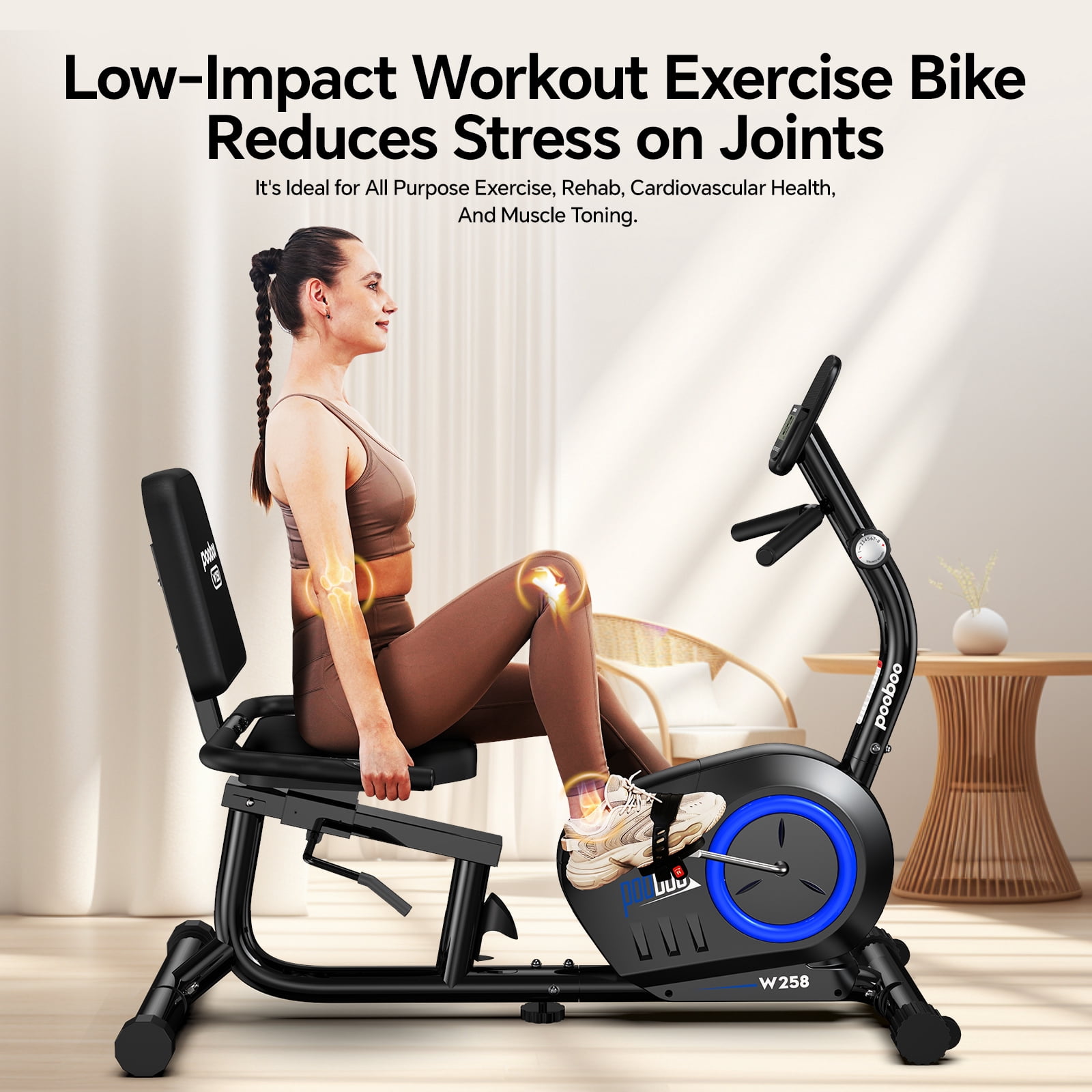Pooboo Recumbent Exercise Bikes Sit Down Stationary Bicycle Magnetic Resistance Indoor Cycling Bike  380lbs Capacity