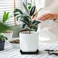 thumbnail image 6 of OFFIGAM Offigam Black Plastic Plant Trays Durable Soil Water Control for Daily Use, 6 of 6