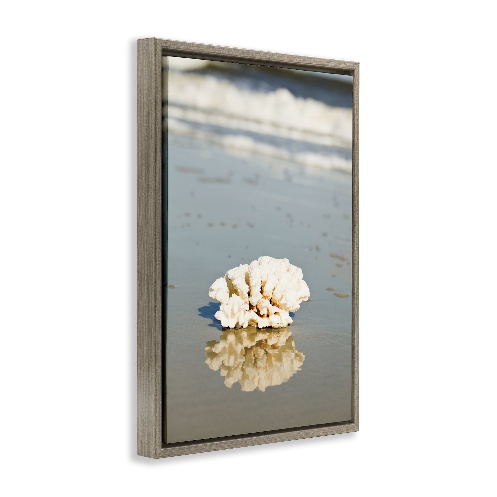 Stupell Industries Coral on Sea Shore Coastal Photography Brown Floater Framed Canvas Art Print Wall Art, 21 x 31