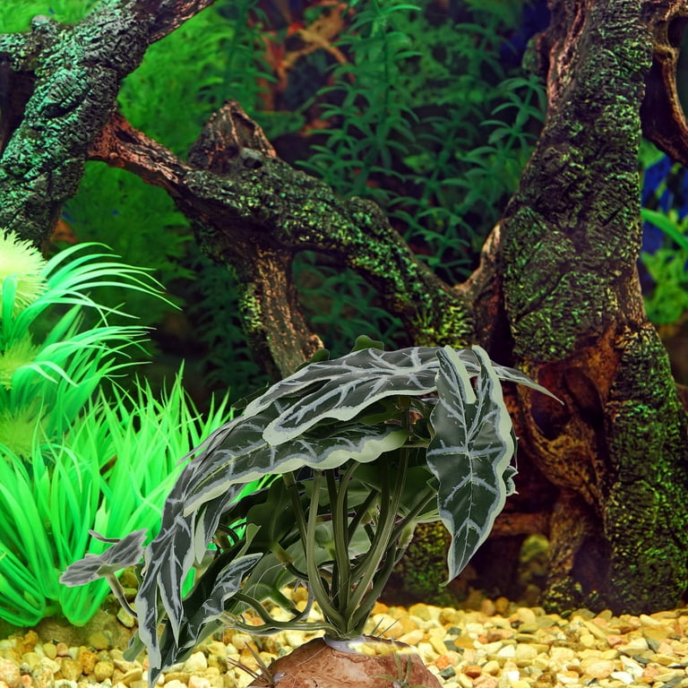 Crested gecko climbing accessories hot sale