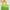 Green, variant on JeashCHAT Sequin Table Runner, Glitter Table Runner for Wedding Birthday Party Supplies Baby Shower Bridal Shower Decoration 71"x12" Long Table Runner Kitchen Table Decor, Gold