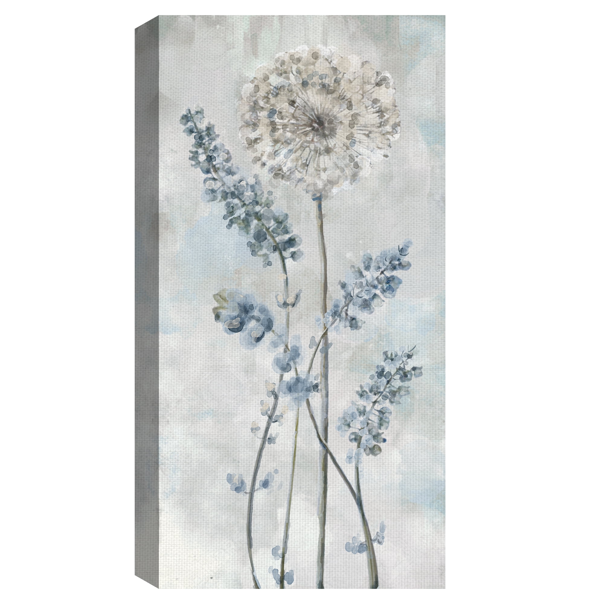 Fine Art Canvas Garden Heights II Dandelions by Studio Arts Canvas Art Print