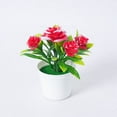 thumbnail image 1 of Zhuge 1 pieza de planta de simulación en maceta, plantas pequeñas falsas en maceta, mini plantas artificiales de escritorio (A27), 1 of 4