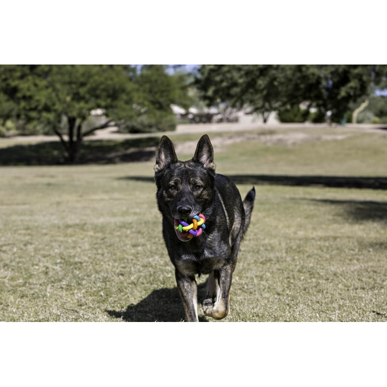 Multipet Nobbly Wobbly 4