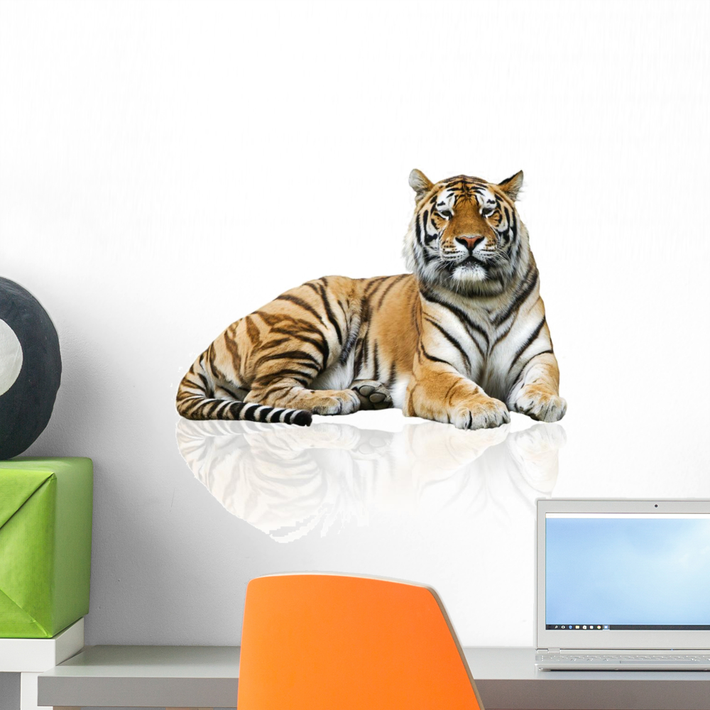 Tiger Wall Decal by Wallmonkeys Peel and Stick Graphic (18 in H x 18 in