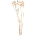 thumbnail image 1 of SHISUYAN 10Pcs Reed Diffuser Sticks Thick Rattan Room Oil Fragrance Diffuser Refill Sticks Aromatherapy Sticks, 1 of 9