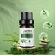thumbnail image 4 of Hot6sl Ofertas Del Día Aceite Corporal 10 Ml Aceite Masaje Hidratante para Cuidado de La Piel Fragancias Aceite de La Piel Calmante para Cuidado de La Piel Nutritivo Integral, 4 of 7
