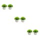 thumbnail image 1 of Moyic 2 uds plantas de simulación en maceta de plástico que añaden belleza y estilo a cualquier entorno mantenimiento de bajo costo doble Type1 NO1, 1 of 6