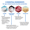 thumbnail image 3 of BioTrust Ageless Muscle Builder - Micronized Creatine Monohydrate Powder with HMB, Vitamin D3 & Betaine - Build & Preserve Naturally Declining Muscle Mass & Strength - Fruit Punch, 30 Servings, 3 of 7