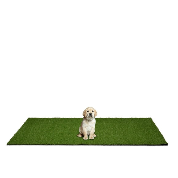 Tapis de Gazon Artificiel pour Chiot, 3 Pi x 4 Pi, Vert