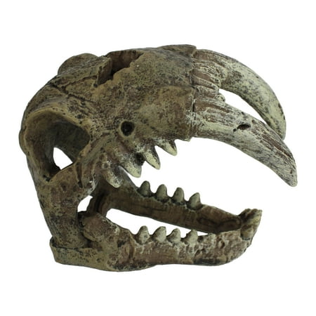 UPC: 0784369932195 | Komodo Saber Tooth Skull Decor for Aquarium or Reptile Tank  Polyresin Material  Bone Color