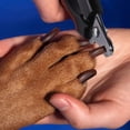 thumbnail image 3 of Cortaúñas y recortador de uñas para perros y gatos de acero inoxidable, con protector de seguridad para evitar cortes excesivos, hoja afilada para uñas gruesas Adepaton 2034366-3, 3 of 9