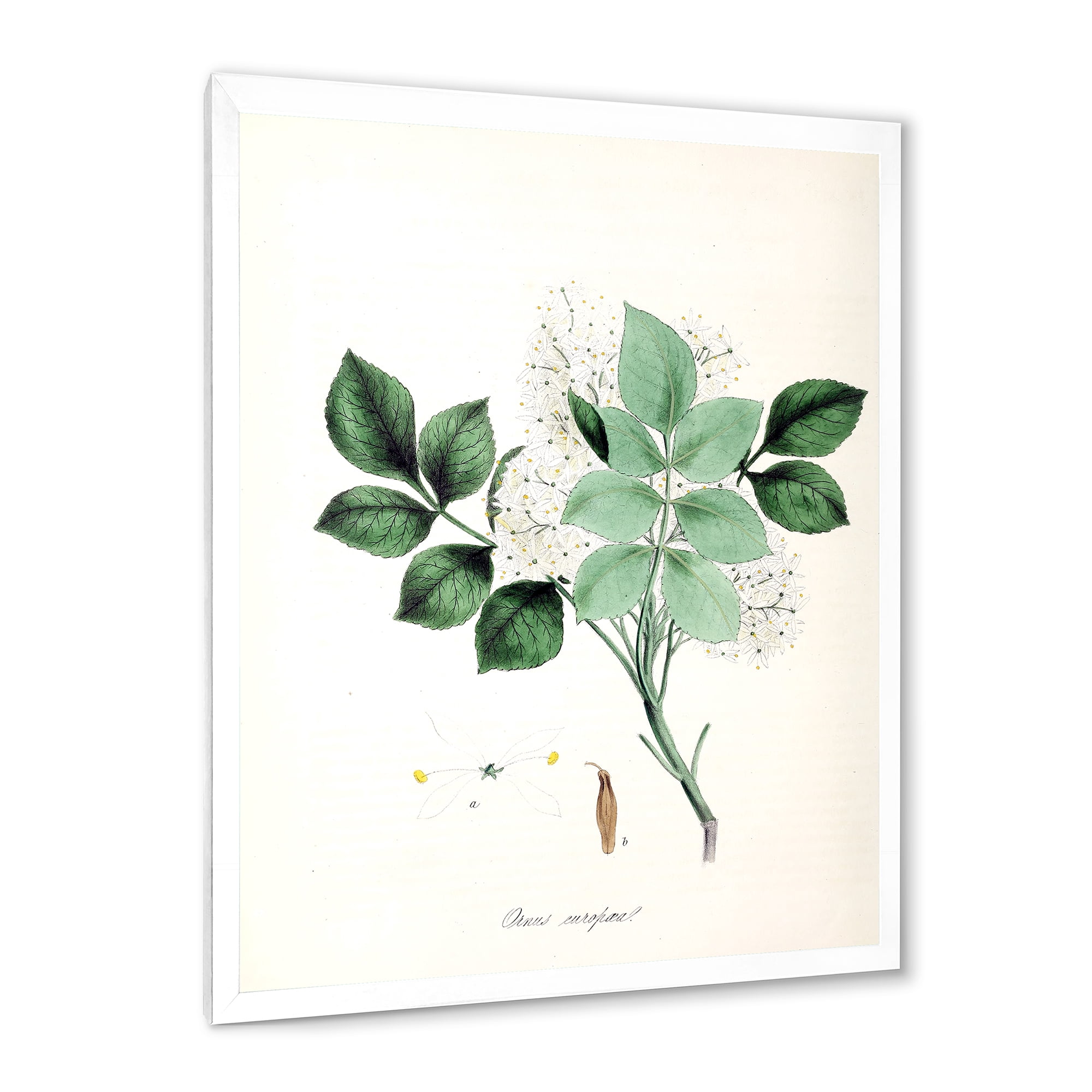 Designart 'Ancient Blossoming Flower IV' Farmhouse Framed Art Print