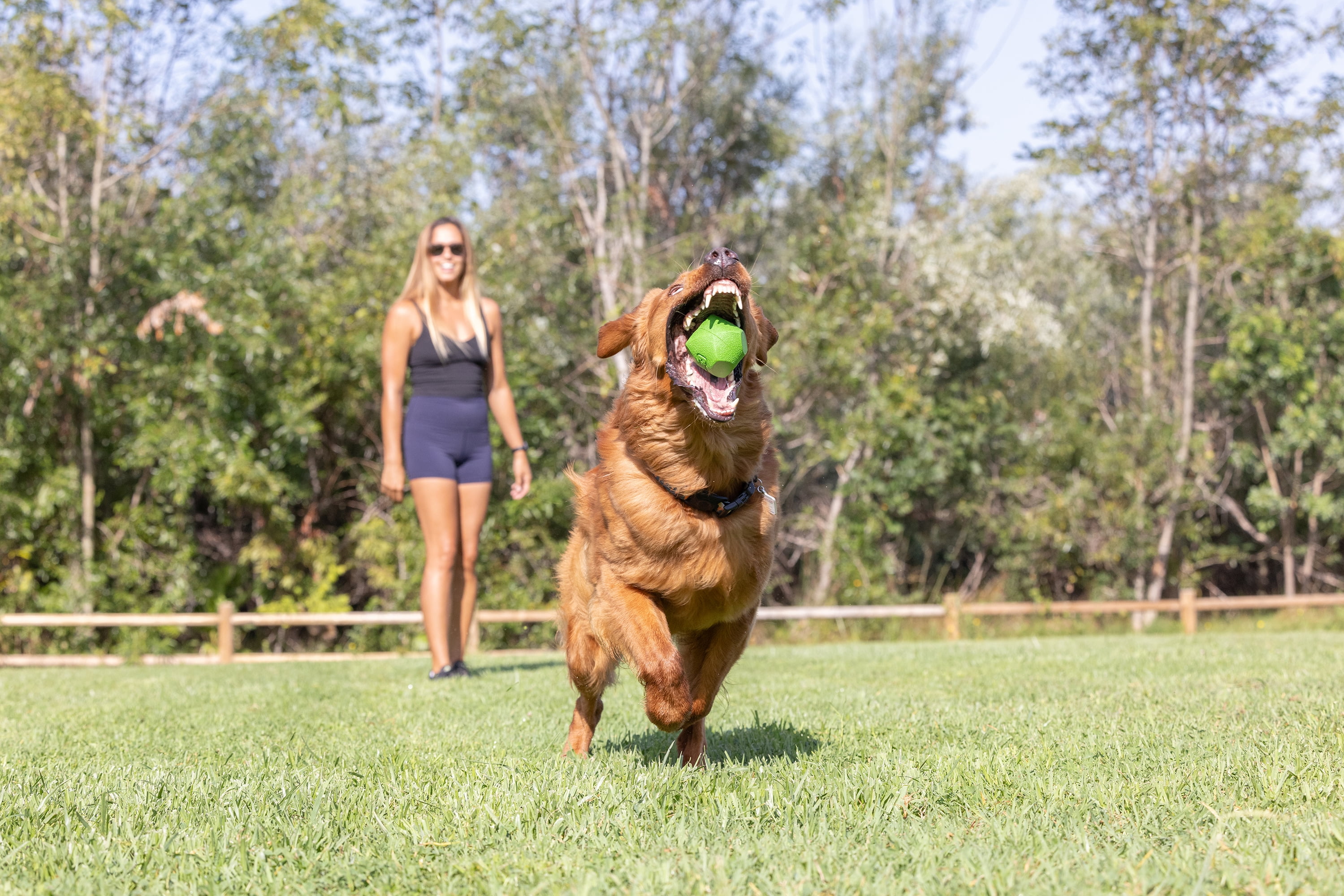 Chuckit! Erratic Dog Ball Unpredictable Bounce Rubber Fetch Toy For Dogs, Medium 2.5", For Breeds 20 to 60 lb, Pack of 1, Green
