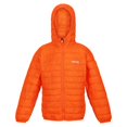 thumbnail image 2 of Regatta Boys/Girls Hillpack Hooded Jacket, 2 of 5