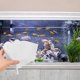 thumbnail image 1 of FELTECHELECTR 1Jgo Caja Separadora Transparente De Acuario Para Supervivencia De Peces Y Camarones, 1 of 8