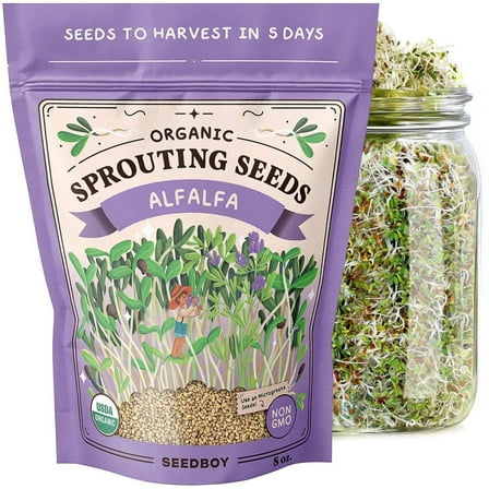 Seedboy Organic Non-GMO Alfalfa Seeds for Sprouting, USA Grown, 8 oz