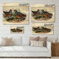 thumbnail image 4 of Designart 'Ancient Birds In The Wild VII' Traditional Print on Natural Pine Wood, 4 of 5