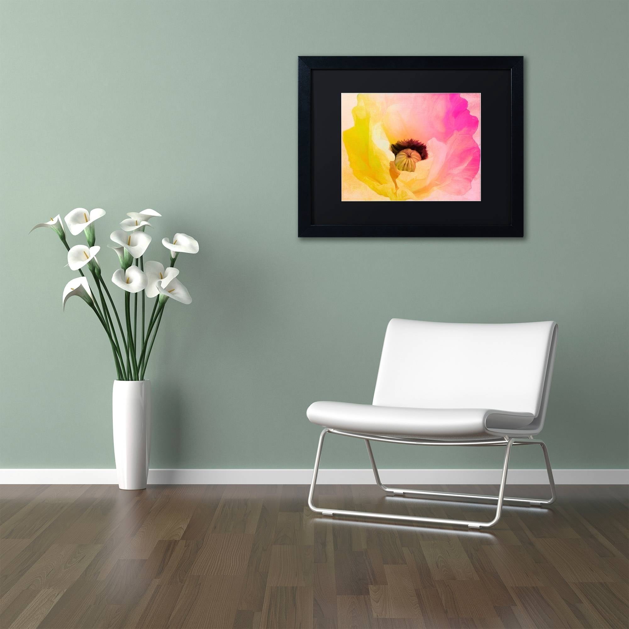 Trademark Fine Art "Poppy Gradient II" Canvas Art by Color Bakery Black Matte, Black Frame