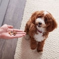 thumbnail image 4 of Milk Bone Trail Mix With Real Beef & Sweet Potato, Crunchy & Chewy Dog Treats, 20 oz, 4 of 11