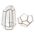 thumbnail image 1 of 2 Pcs Geométrico Terrario  Caja irregular de Planta Transparante Recipiente Cristal Gloria Terrario Geométrico, 1 of 9