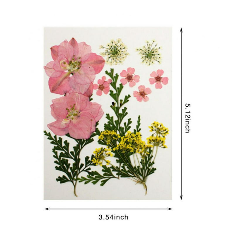 Pressed Flowers Resin Flowers for Resin Mold,Real Dried Flower Leaves Natural with Tweezers for Scrapbooking DIY Crafts Making, Size: 7.5