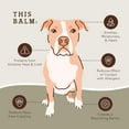thumbnail image 3 of Natural Dog Company PawTection Dog Paw Balm, Protects Dog Paws from Heat, Salt, Snow, Prevents Paw Damage, Organic, All Natural, 2 oz Tin, 3 of 9