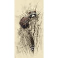thumbnail image 3 of Brown, Jim 14x24 Black Modern Framed Museum Art Print Titled - Mom And Baby Raccoon, 3 of 5