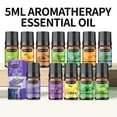 thumbnail image 2 of Diffuseur d'Huiles Essentielles Soluble dans l'Eau 5 ml GX, 2 of 8