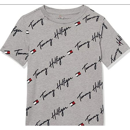 Tommy Hilfiger Big Boys Grey Short-Sleeve Vertical Script Logo Tee, (16/18), LG